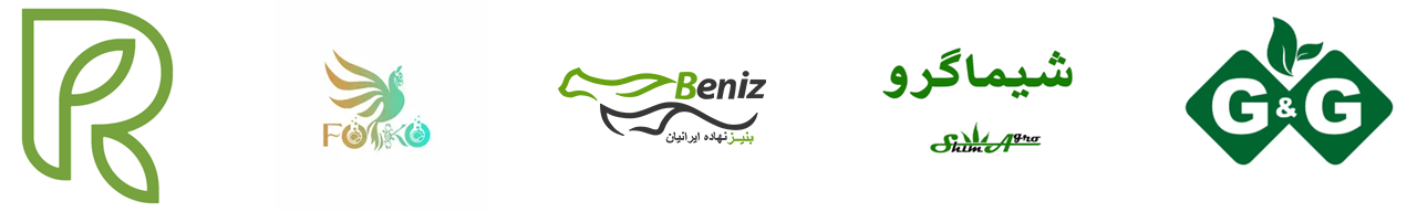 رویش یار، فوکو، بنیز، شیماگرو، جی اند جی