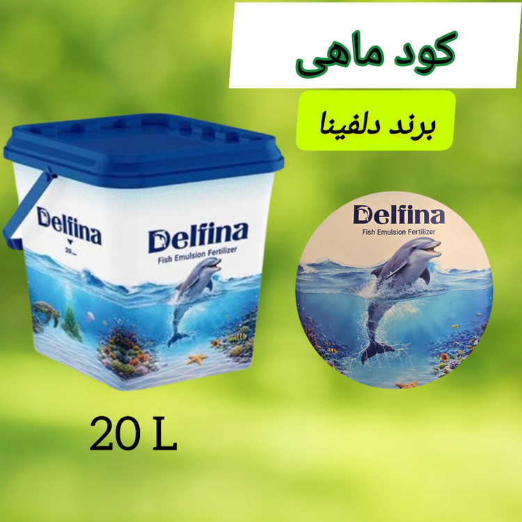 کود ماهی دلفینا