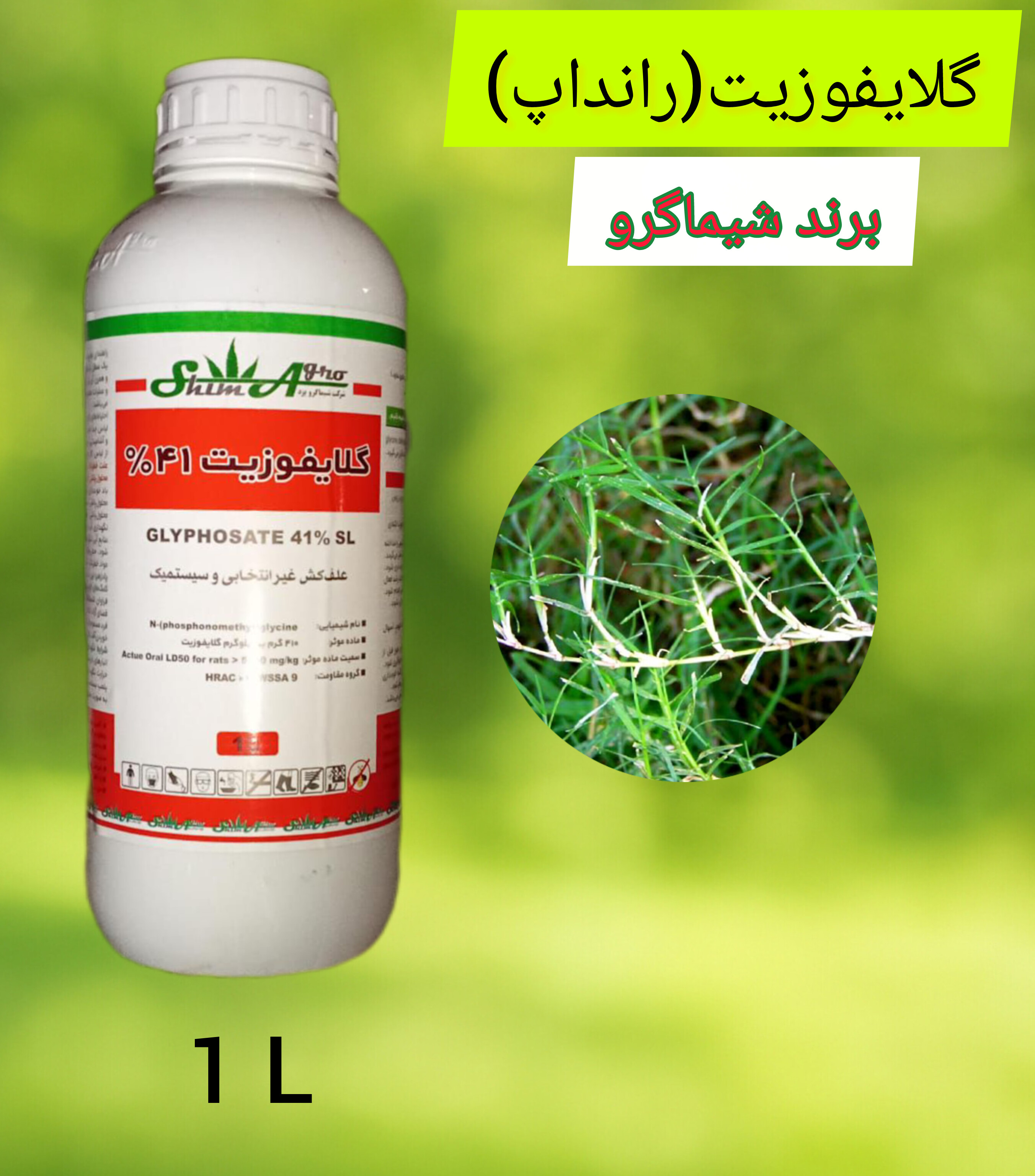 گلایفوزیت نام تجاری رانداپ